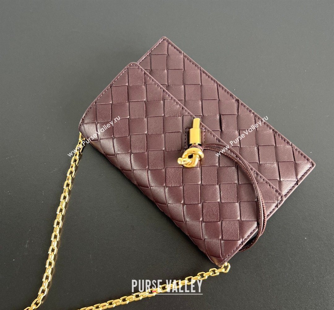 Bottega Veneta Andiamo Pouch on Chain Mini Bag in Intrecciato Leather Dark Barolo Red 2026 844107 (WT-260402101)