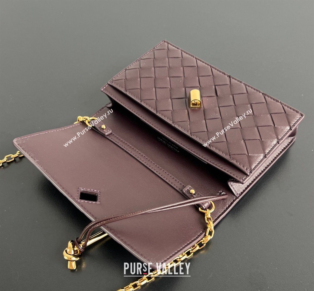 Bottega Veneta Andiamo Pouch on Chain Mini Bag in Intrecciato Leather Dark Barolo Red 2026 844107 (WT-260402101)
