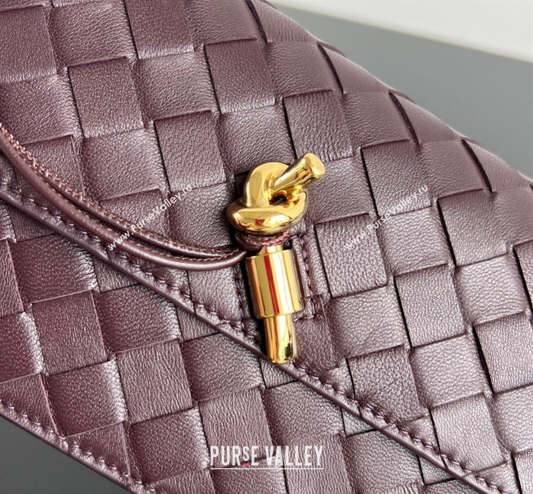 Bottega Veneta Andiamo Pouch on Chain Mini Bag in Intrecciato Leather Dark Barolo Red 2026 844107 (WT-260402101)