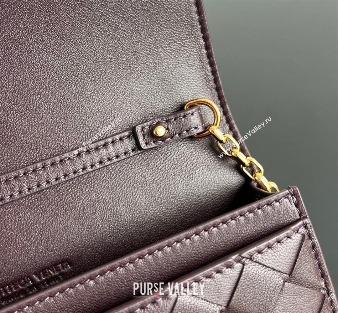 Bottega Veneta Andiamo Pouch on Chain Mini Bag in Intrecciato Leather Dark Barolo Red 2026 844107 (WT-260402101)