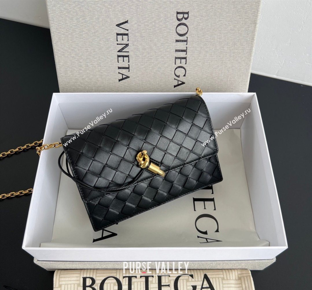 Bottega Veneta Andiamo Pouch on Chain Mini Bag in Intrecciato Leather Black 2026 844107 (WT-260402103)