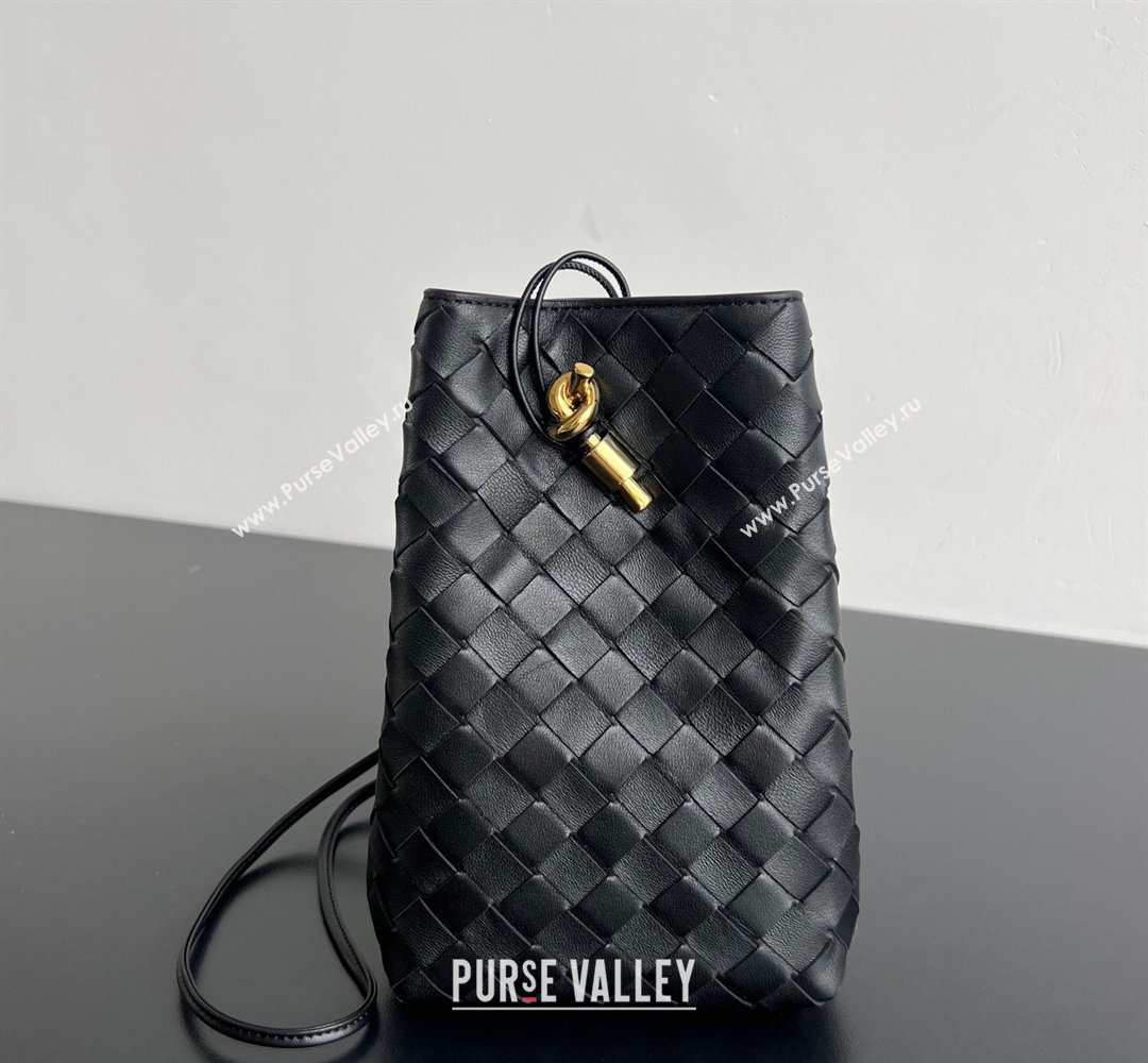 Bottega Veneta Andiamo Phone Pouch in Intrecciato Leather Black 2026 843890 (WT-260402100)