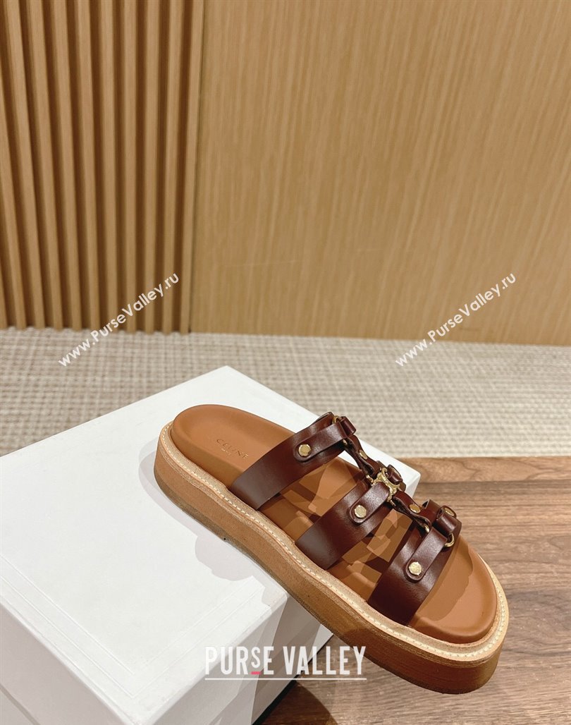 Celine Tippi Flat Slide Sandals in Calfskin Leather Dark Brown 2024 (SS-240322033)