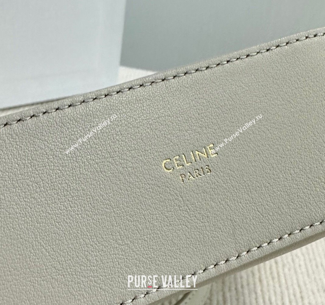 Celine Triomphe Calfskin Mini Bucket bag Light Grey 2024 10K943 (BL-240522082)