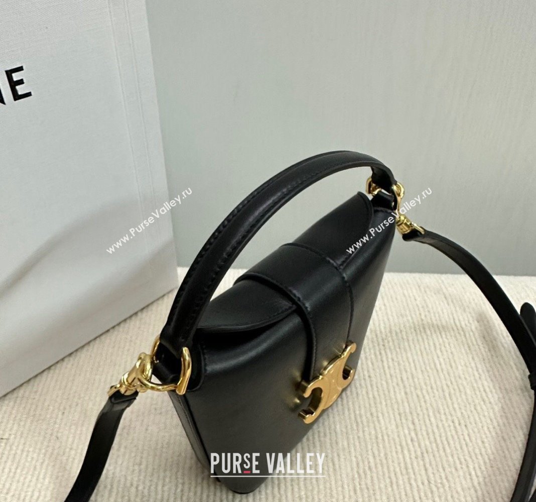 Celine Triomphe Calfskin Mini Bucket bag Black 2024 10K943 (BL-240522083)