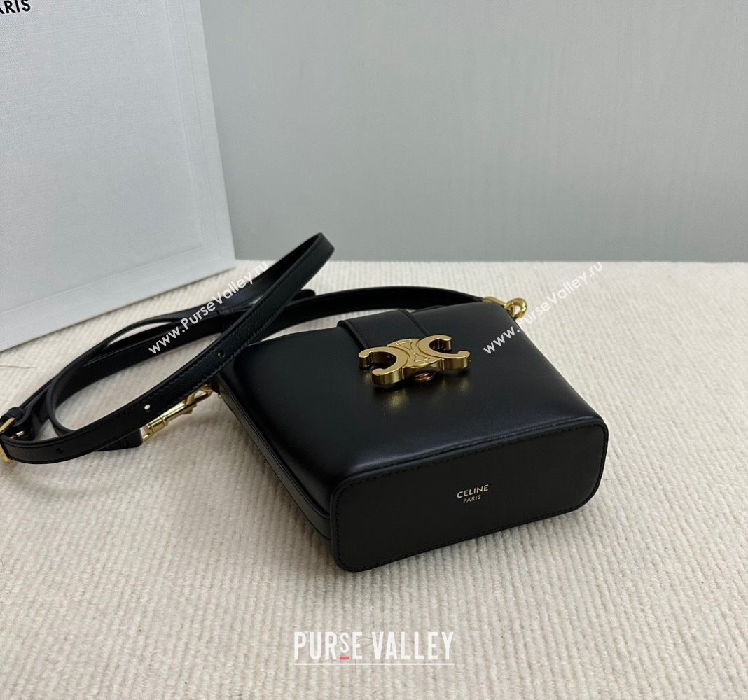 Celine Triomphe Calfskin Mini Bucket bag Black 2024 10K943 (BL-240522083)