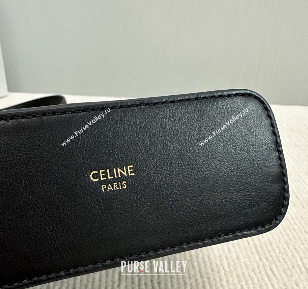 Celine Triomphe Calfskin Mini Bucket bag Black 2024 10K943 (BL-240522083)