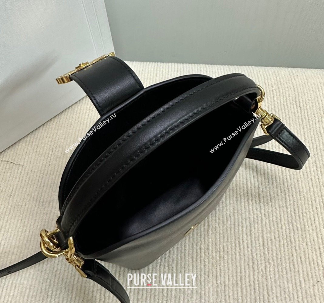 Celine Triomphe Calfskin Mini Bucket bag Black 2024 10K943 (BL-240522083)