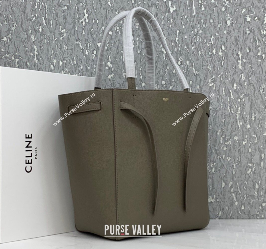 Celine Cabas Phantom Small Tote Bag in Supple Grained Calfskin Sage Grey 2024 180544 (BL-240522095)