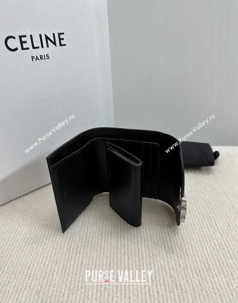 Celine Small Wallet in Shiny Calfskin 10D783 Black/Silver 2024 (BL-240522074)