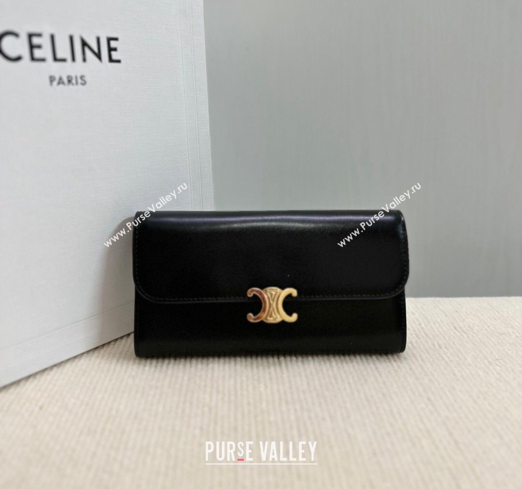 Celine Triomphe Large Wallet in Shiny Calfskin Black 2024 10E313 (BL-240522064)