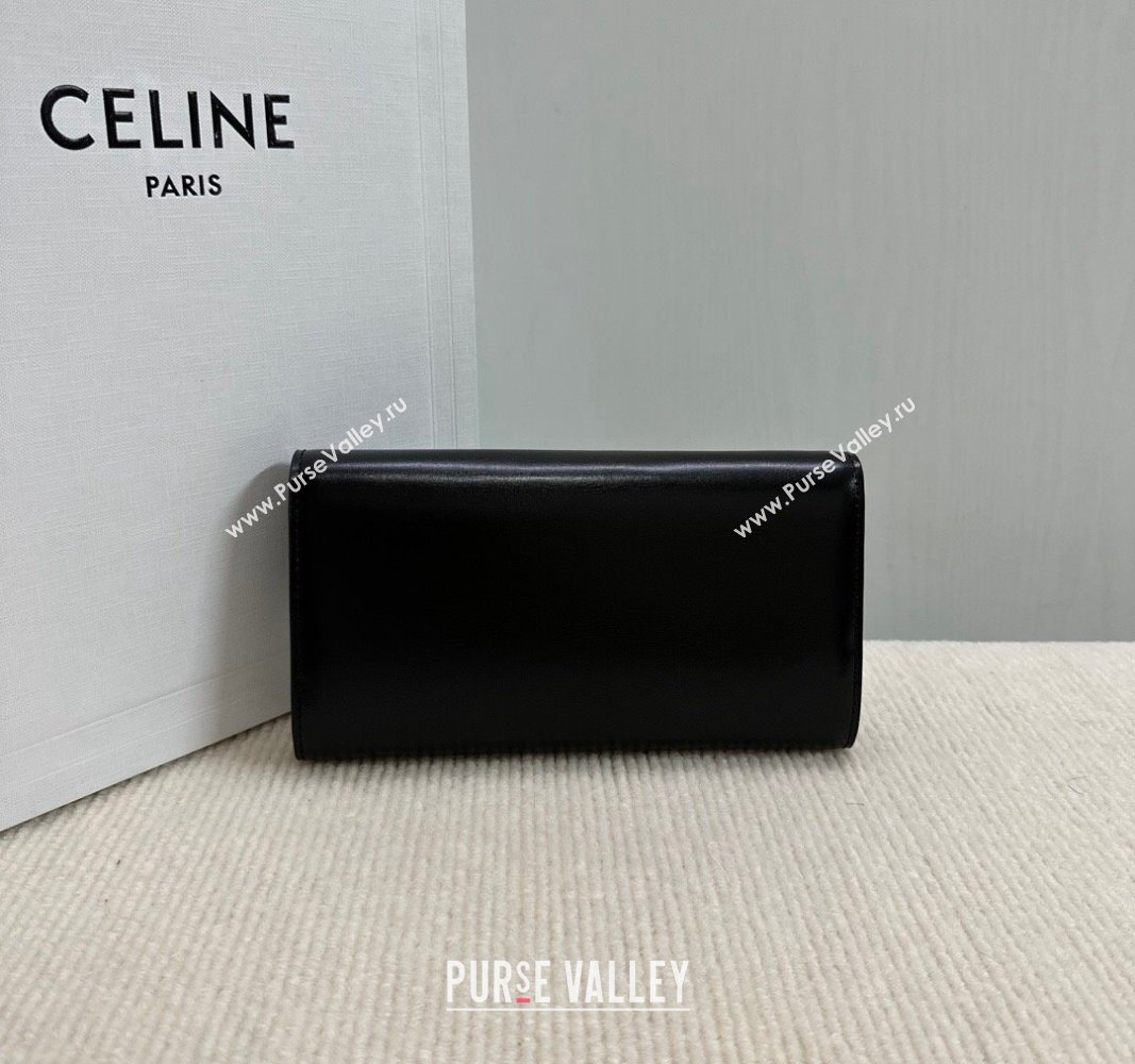 Celine Triomphe Large Wallet in Shiny Calfskin Black 2024 10E313 (BL-240522064)