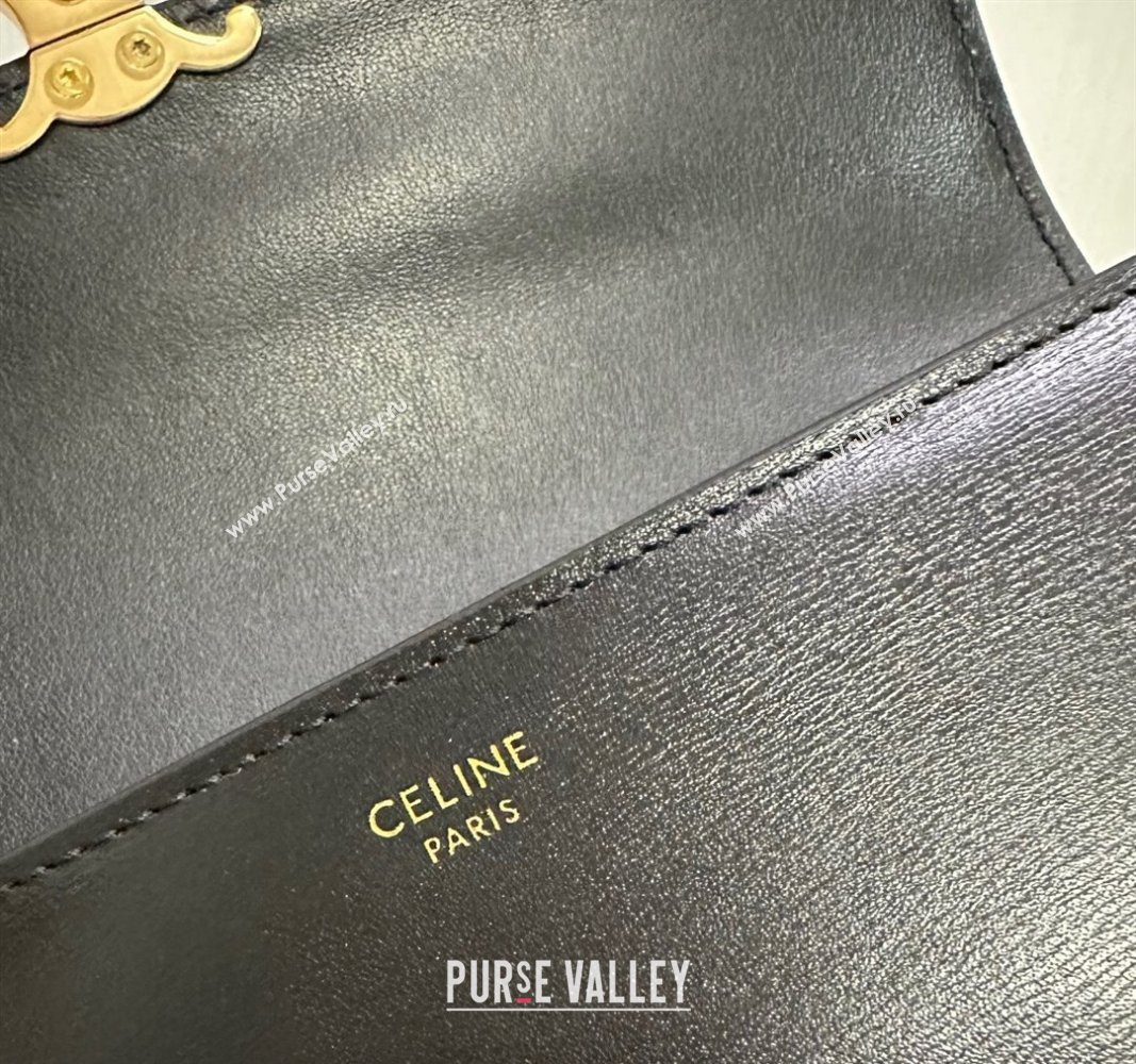 Celine Triomphe Large Wallet in Shiny Calfskin Black 2024 10E313 (BL-240522064)