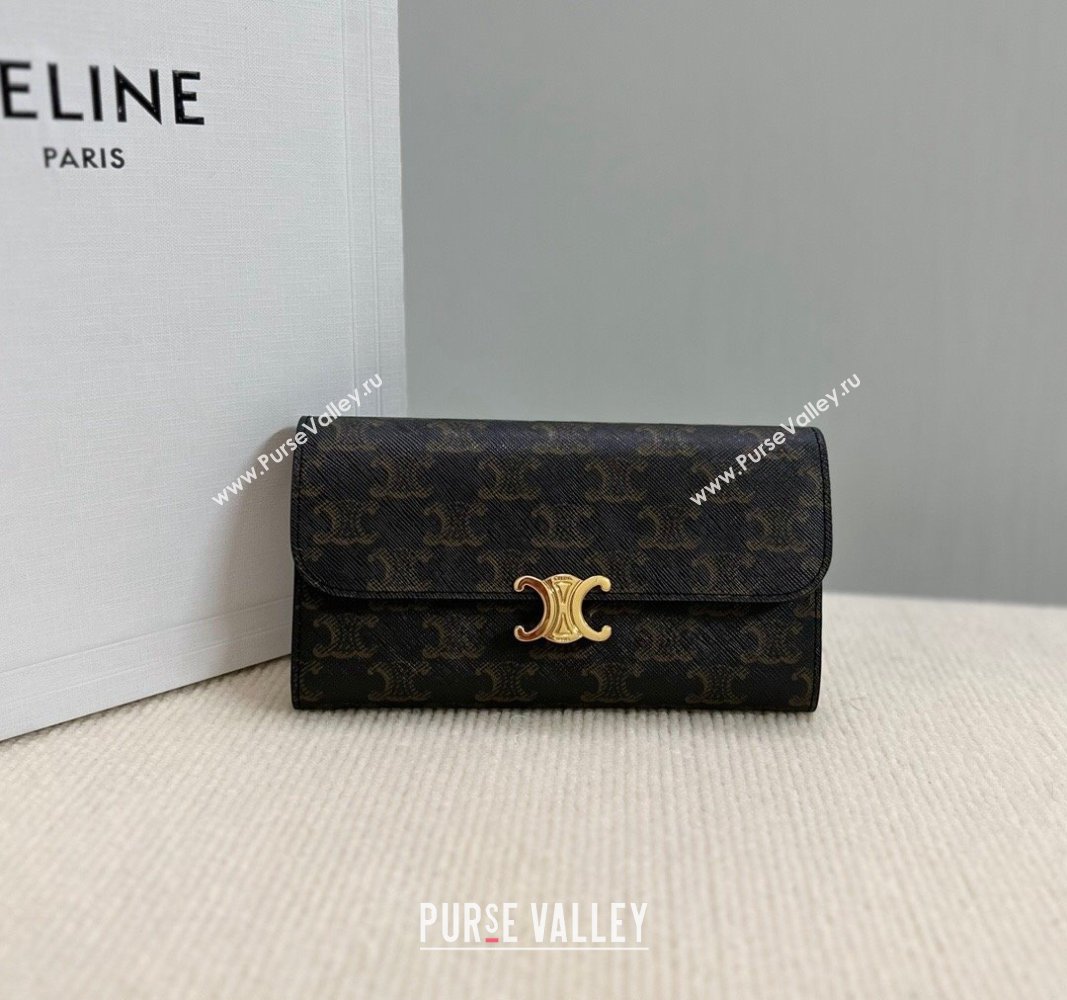 Celine Triomphe Canvas Large Wallet 2024 10E312 (BL-240522066)