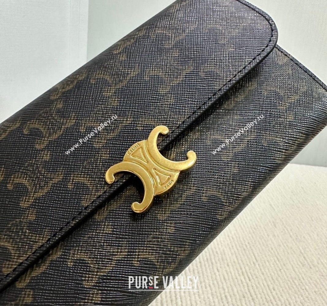 Celine Triomphe Canvas Large Wallet 2024 10E312 (BL-240522066)