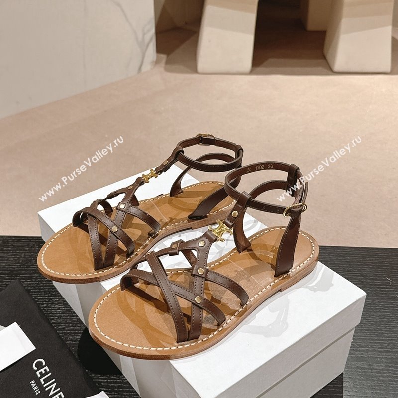 Celine Calfskin Strap Flat Sandals Brown 2024 0531 (MD-240531155)