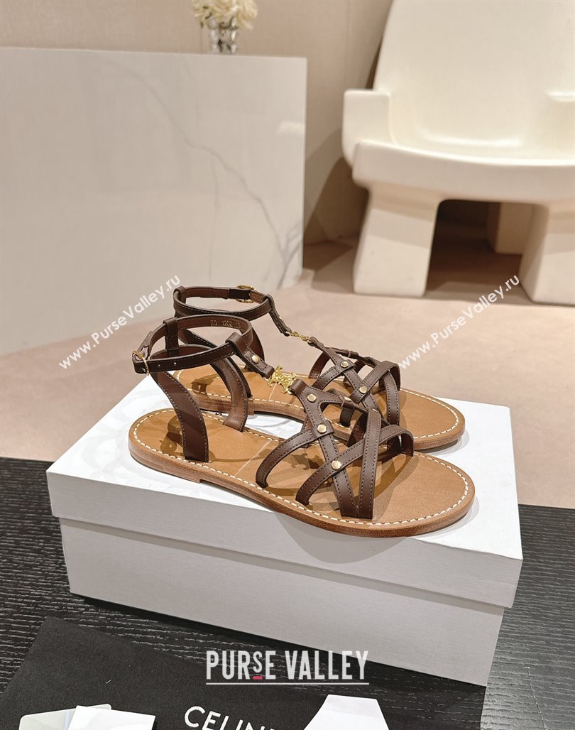 Celine Calfskin Strap Flat Sandals Brown 2024 0531 (MD-240531155)