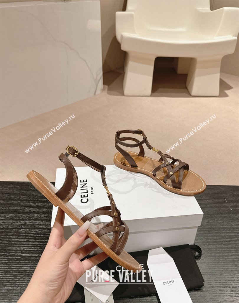 Celine Calfskin Strap Flat Sandals Brown 2024 0531 (MD-240531155)