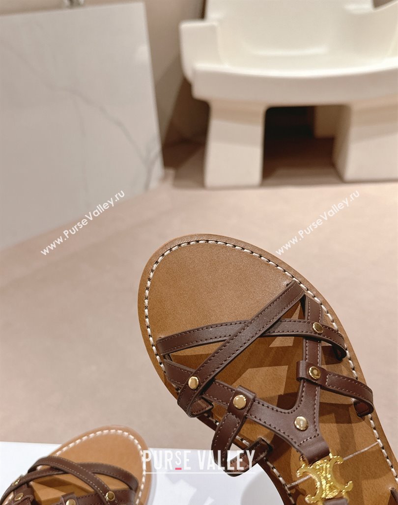 Celine Calfskin Strap Flat Sandals Brown 2024 0531 (MD-240531155)