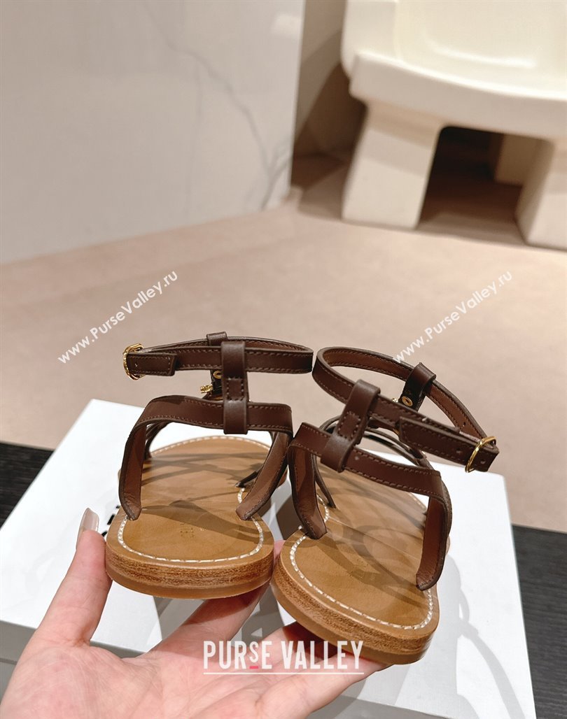 Celine Calfskin Strap Flat Sandals Brown 2024 0531 (MD-240531155)