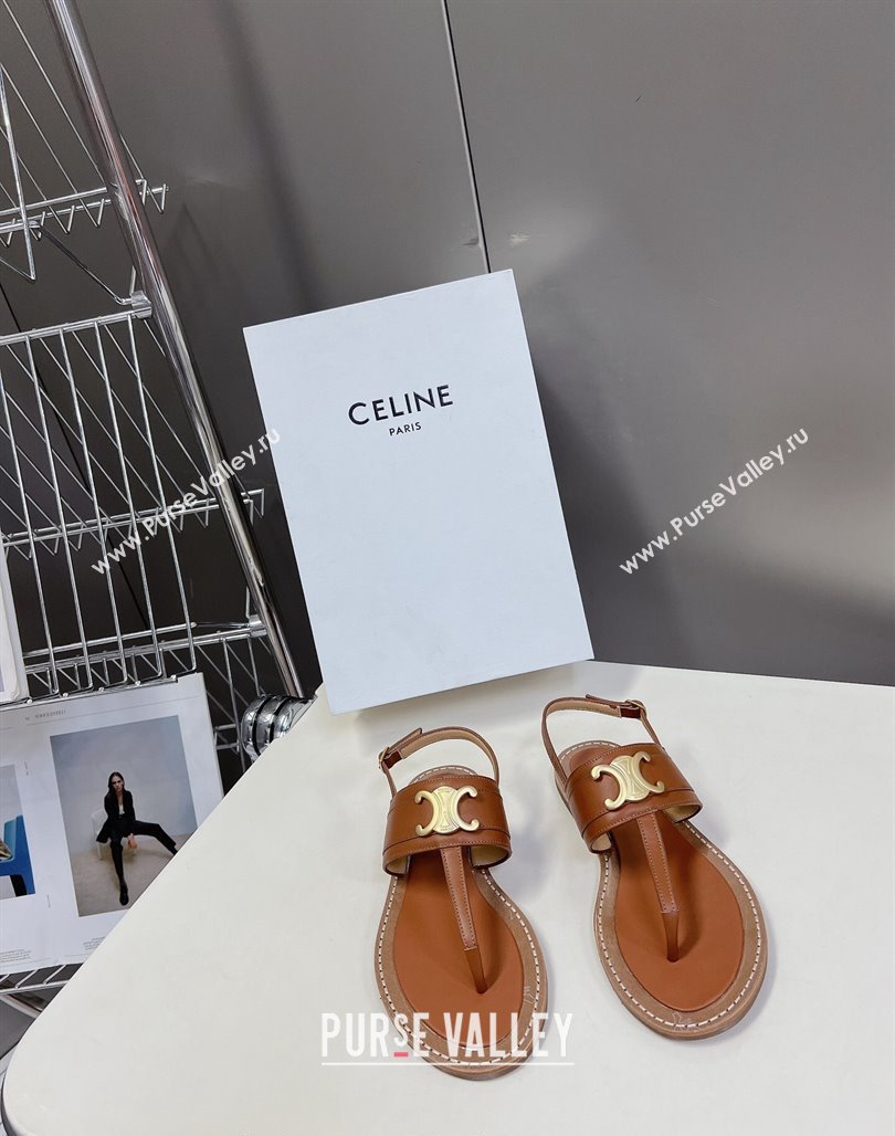 Celine Lympia Triomphe Thong Flat Sandals in Calfskin Brown 2024 (MD-240531167)