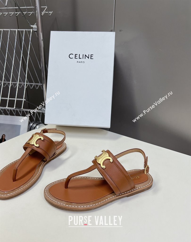 Celine Lympia Triomphe Thong Flat Sandals in Calfskin Brown 2024 (MD-240531167)