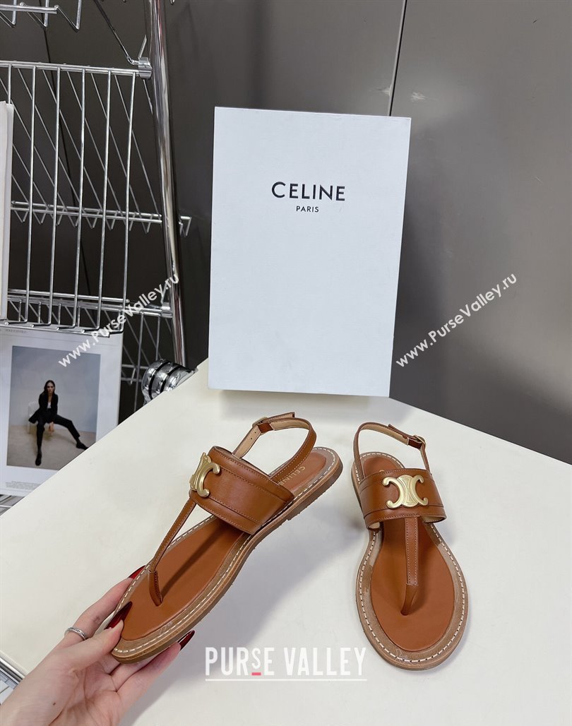 Celine Lympia Triomphe Thong Flat Sandals in Calfskin Brown 2024 (MD-240531167)