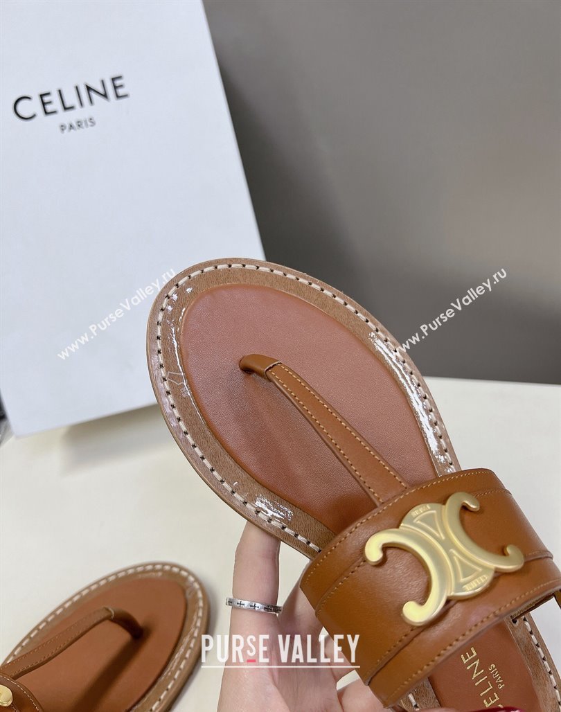 Celine Lympia Triomphe Thong Flat Sandals in Calfskin Brown 2024 (MD-240531167)