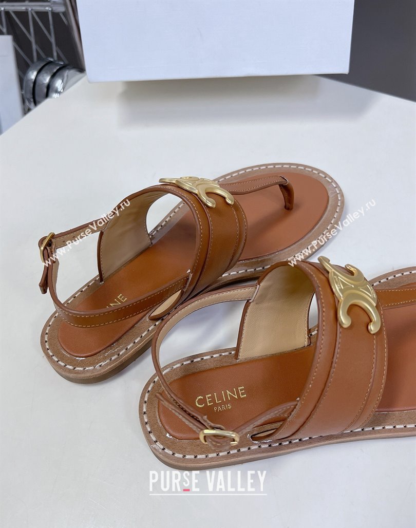 Celine Lympia Triomphe Thong Flat Sandals in Calfskin Brown 2024 (MD-240531167)