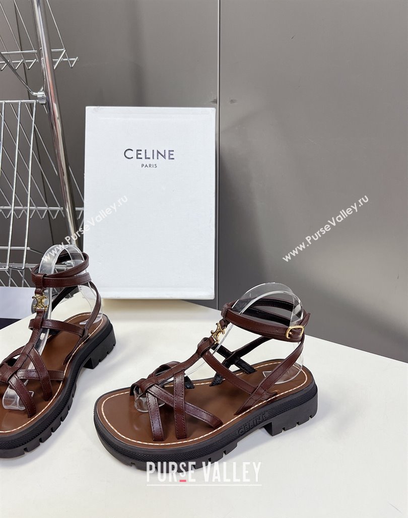 Celine Calfskin Strap Sandals Dark Brown 2024 053102 (MD-240531177)