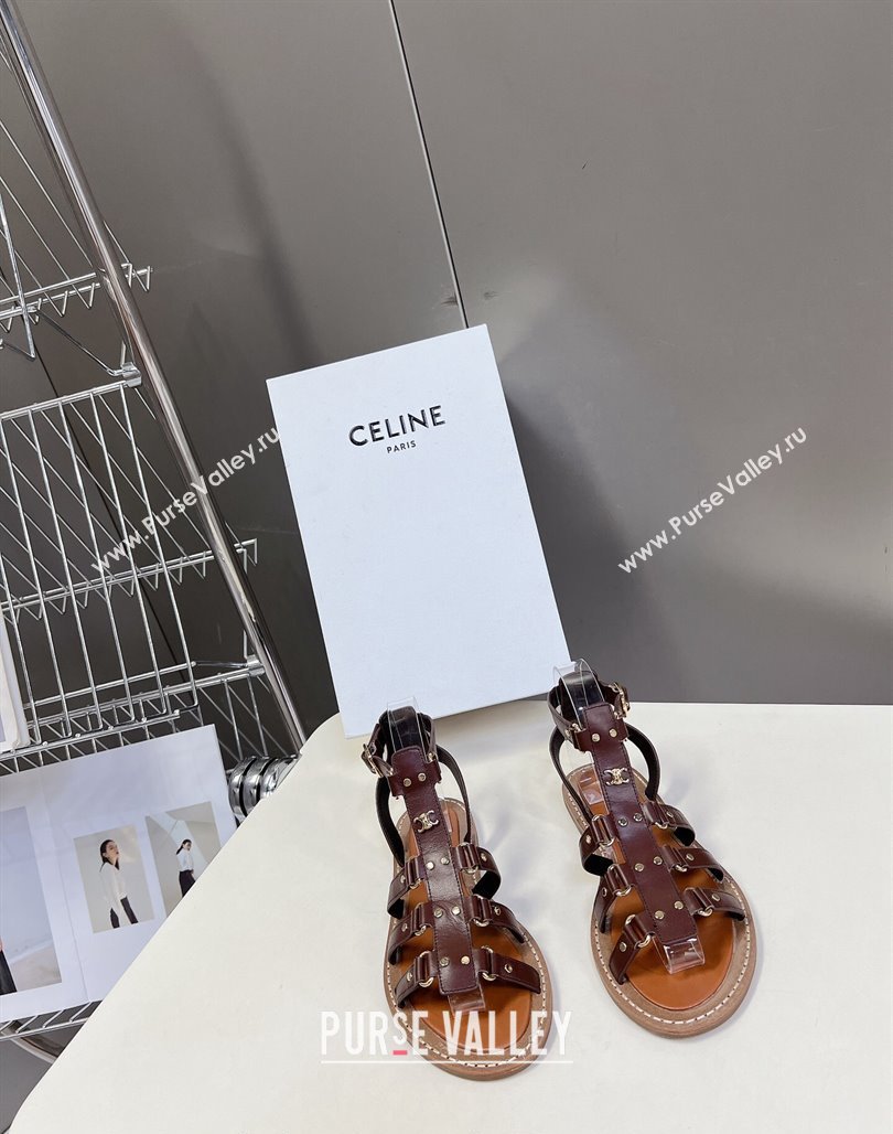 Celine Lympia Flat Sandals in Calfskin Dark Brown 2024 0629 (MD-240629049)