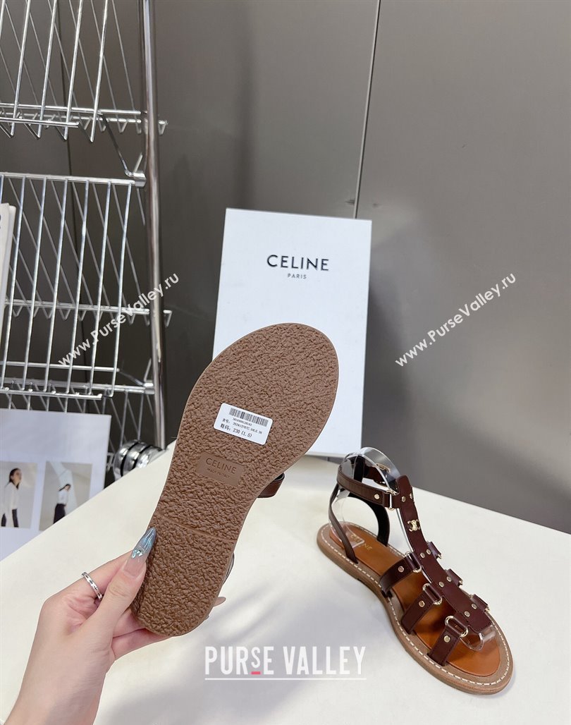 Celine Lympia Flat Sandals in Calfskin Dark Brown 2024 0629 (MD-240629049)