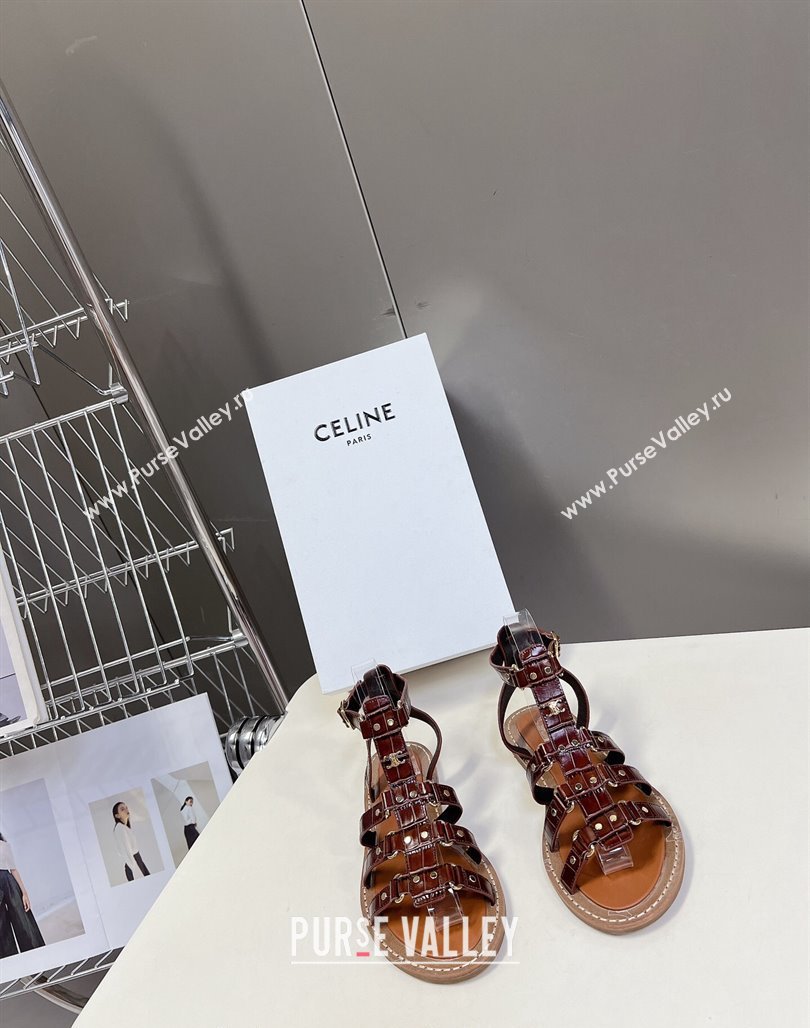 Celine Lympia Flat Sandals in Crocodile Embossed Leather Dark Brown 2024 0629 (MD-240629050)