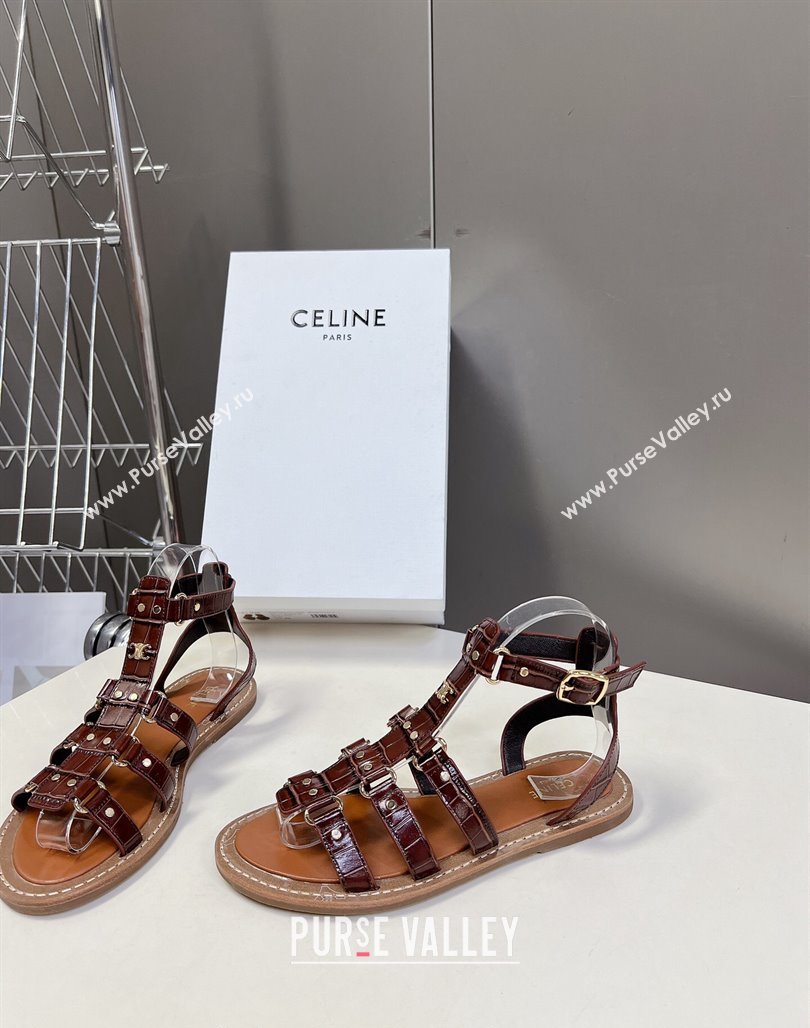 Celine Lympia Flat Sandals in Crocodile Embossed Leather Dark Brown 2024 0629 (MD-240629050)