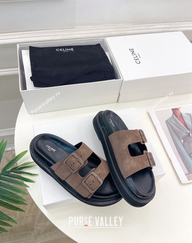 Celine Suede Flat Slides Sandal with Double Buckle Strap Brown 2024 081303 (MD-240813053)