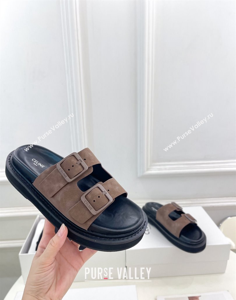 Celine Suede Flat Slides Sandal with Double Buckle Strap Brown 2024 081303 (MD-240813053)