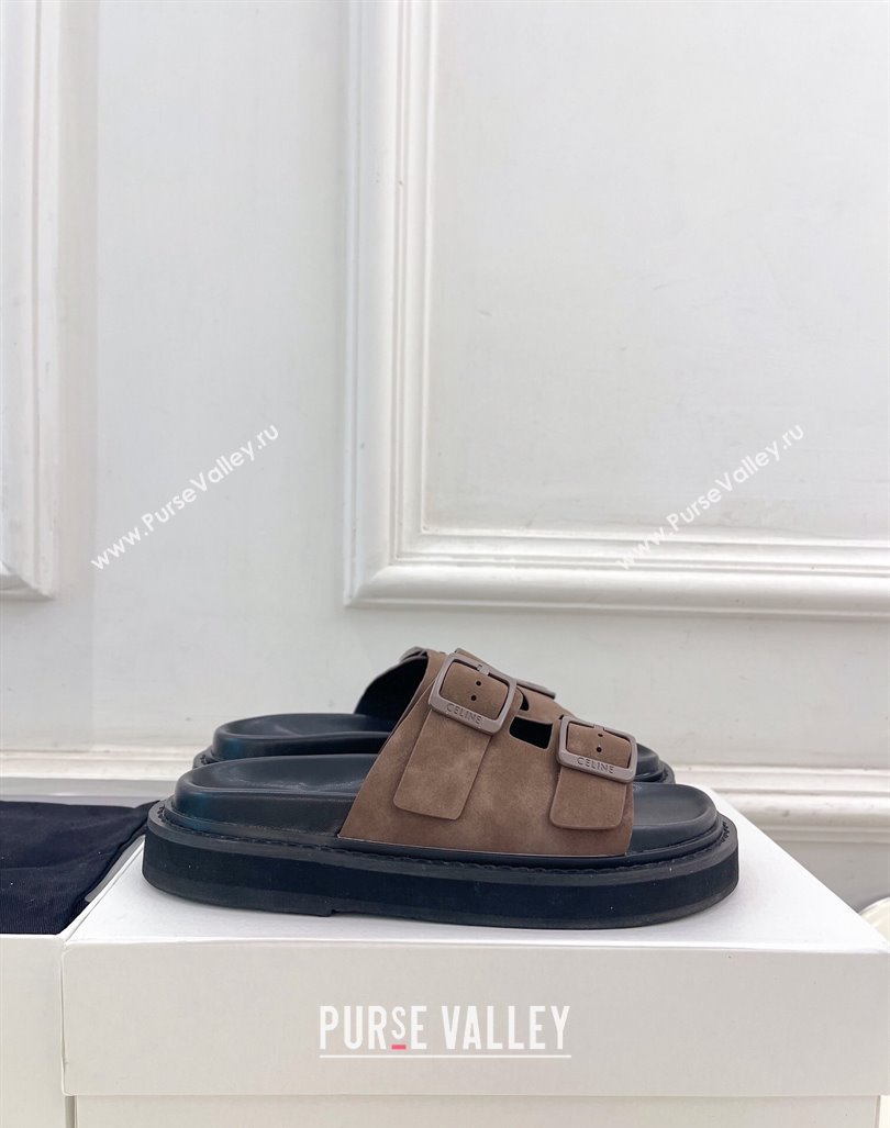 Celine Suede Flat Slides Sandal with Double Buckle Strap Brown 2024 081303 (MD-240813053)