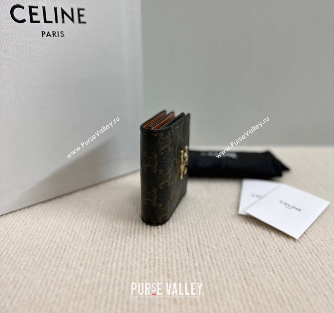 Celine Business Card Holder Wallet Triomphe Canvas and Lambskin 2024 10M122 (BL-240827103)