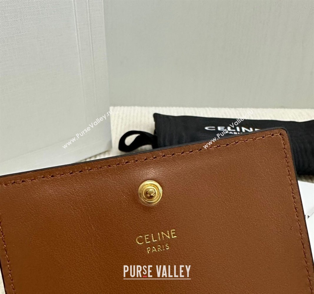 Celine Business Card Holder Wallet Triomphe Canvas and Lambskin 2024 10M122 (BL-240827103)