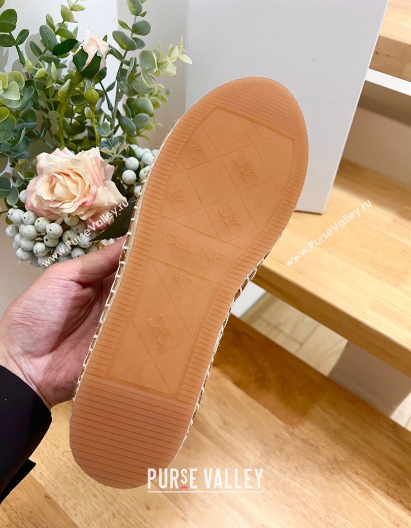 Celine Suede Logo Espadrilles Flats Brown 2024 1223 (KL-241223092)