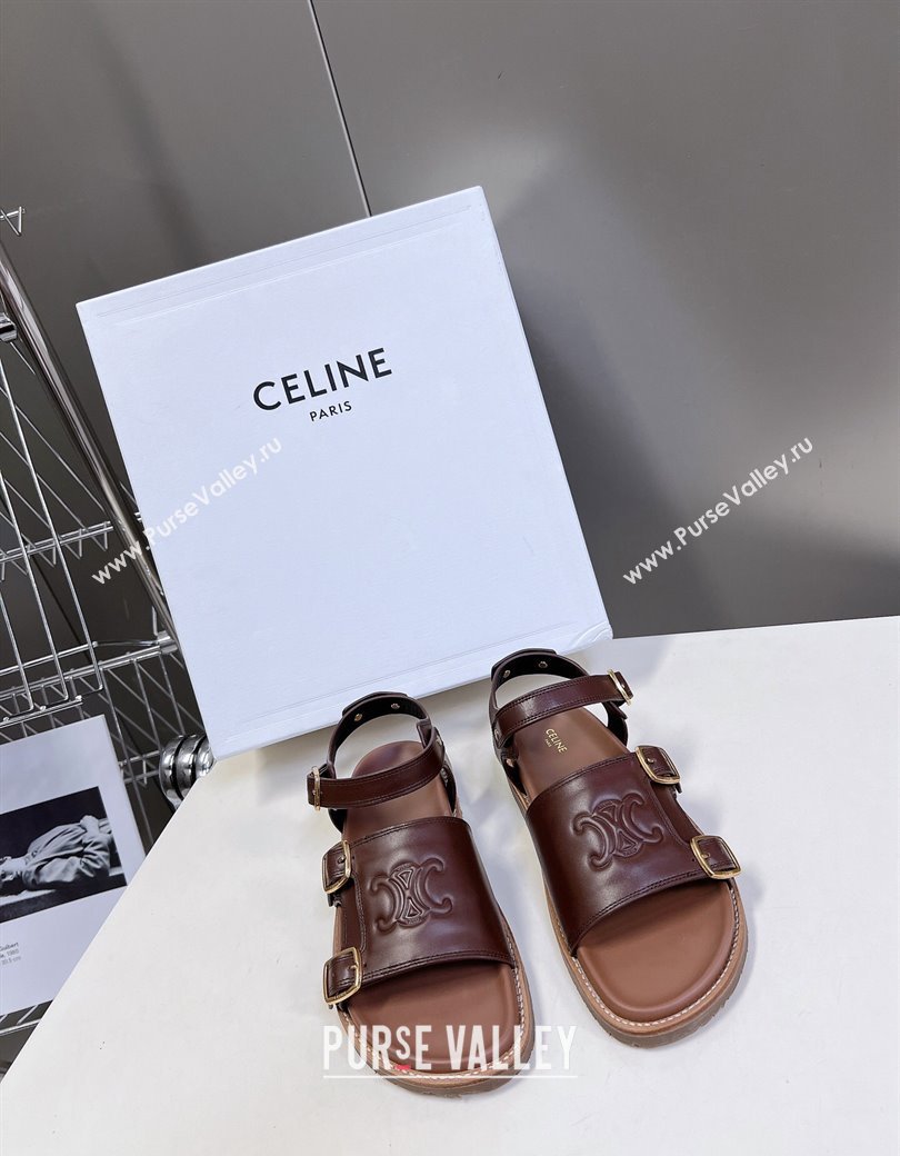 Celine Mino Flat Sandals in Calfskin with Buckle Dark Brown 2024 1223 (MD-241223109)