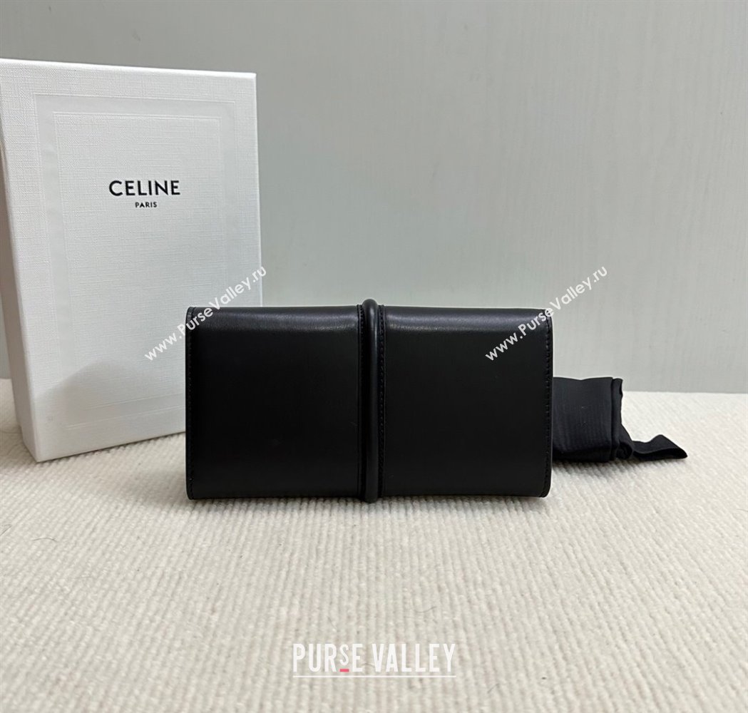 Celine Large Wallet 16 in Satinated Calfskin Black 2025 10M033 (BL-250210057)