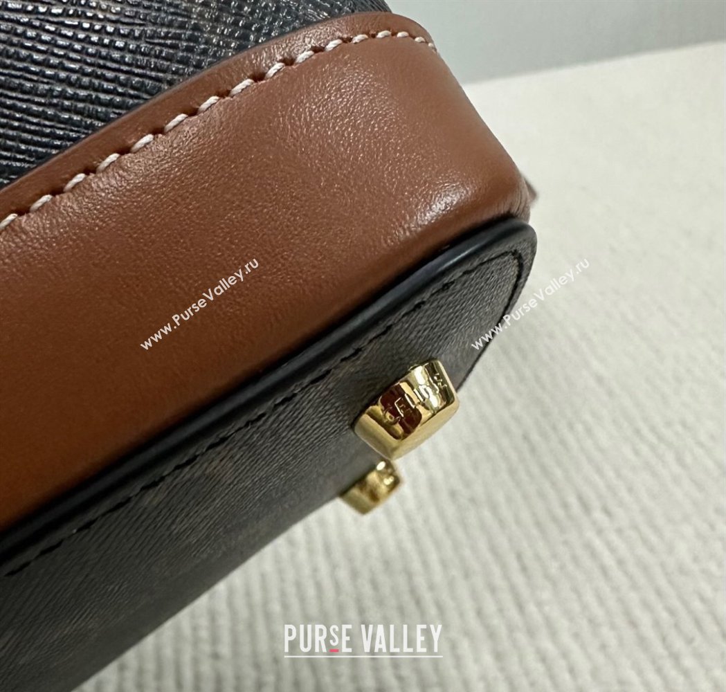 Celine Vanity Bag in Triomphe Canvas Calfskin Brown 2025 119463 (BL-250210051)