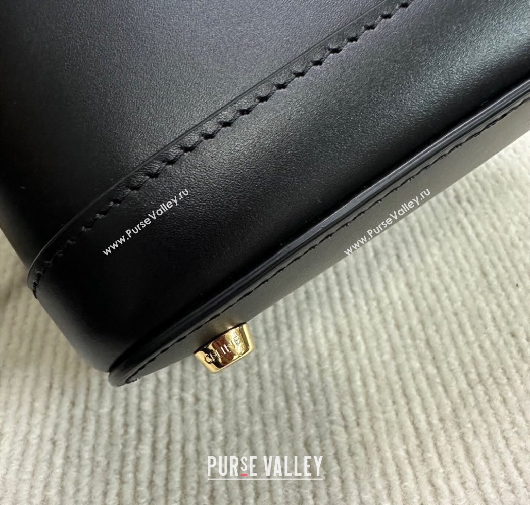 Celine Vanity Bag in Natural Calfskin Black 2025 119463 (BL-250210053)