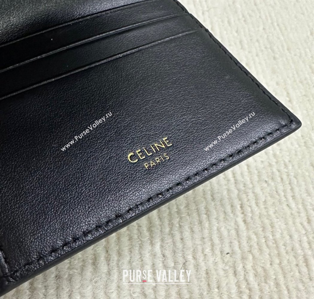 Celine Small Trifold Wallet 16 in Satinated Calfskin Black 2025 10F523 (BL-250210055)
