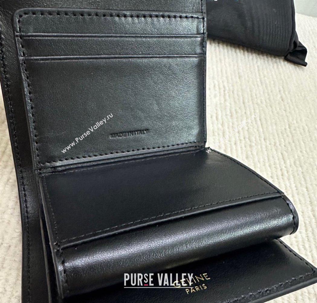 Celine Small Trifold Wallet 16 in Satinated Calfskin Black 2025 10F523 (BL-250210055)