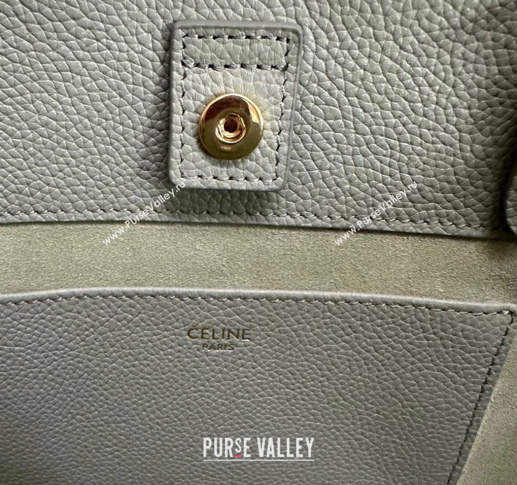 Celine Mini Cabas Anais Cuir Triomphe Tote Bag in Grained Calfskin Light Clay Green 2025 118613 (BL-250520007)