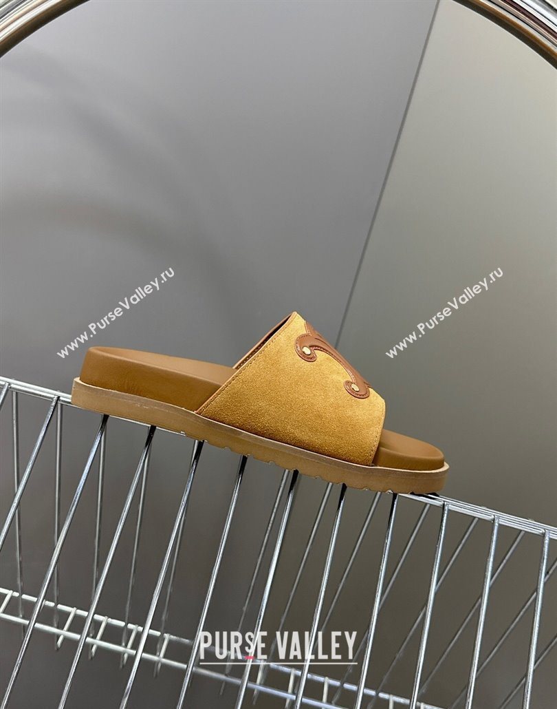 Celine Triomphe Suede Slides Sandals Brown 2025 CL060401 (MD-250604004)