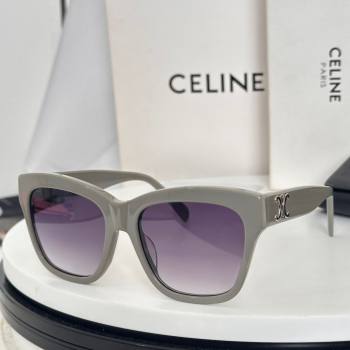Celine Sunglasses 1 2025 CL40253F (shi-250614128)