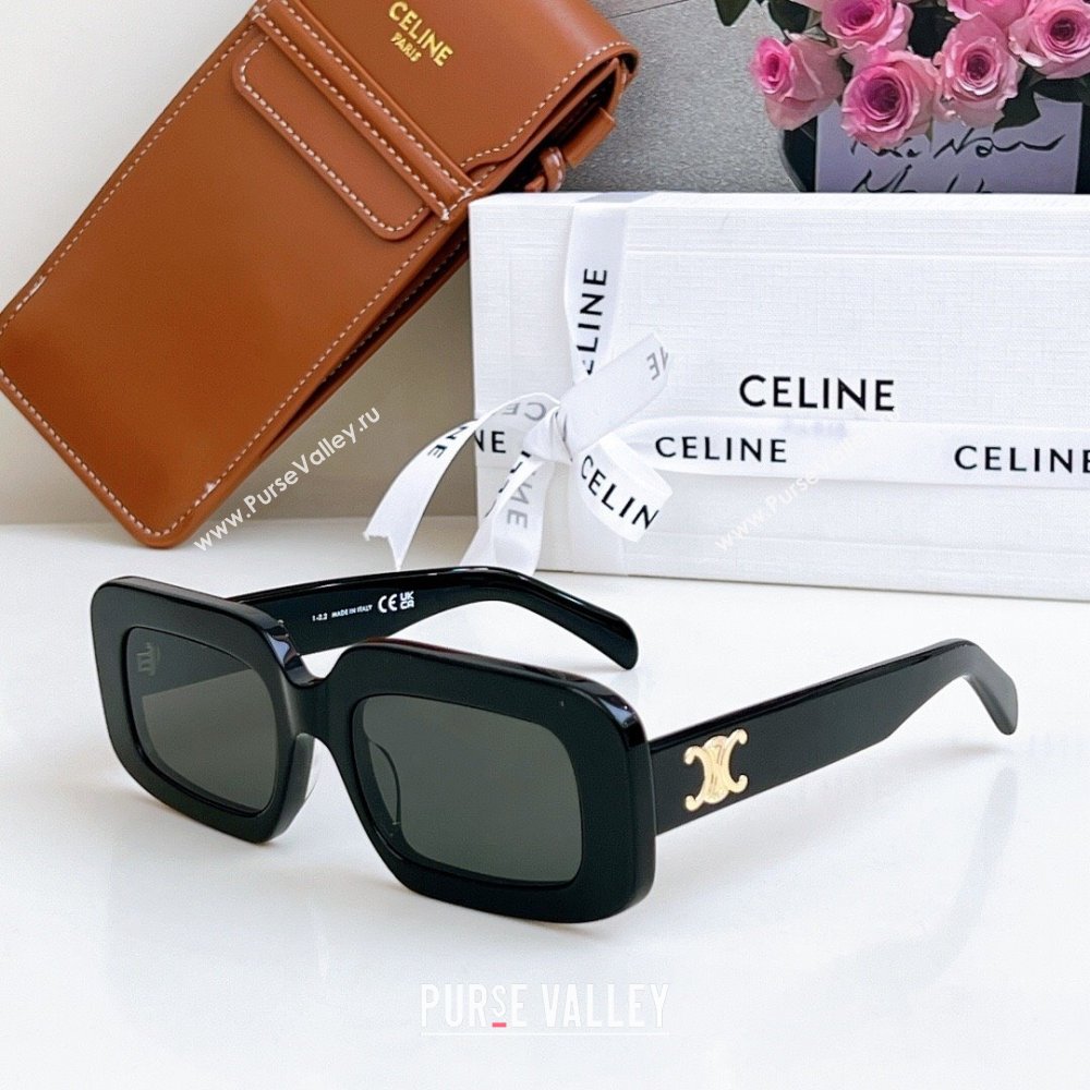 Celine Sunglasses Black/Gold 2025 CL40313U (SHI-250721098)